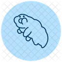 Tardigrade Insect Water Icon