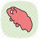 Tardigrade Insect Water Icon