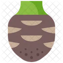Taro Head Root Icon