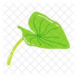 Taro leaf  Icono