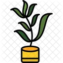 Tarragon Pot Herb Icon