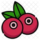 Tart Fruit Antioxidant Rich Dried Cranberries Icon
