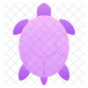 Tartaruga Ícone