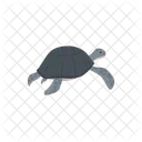 Tartaruga Vetor Mar Icon
