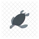 Tartaruga Reptil Mar Icon