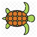 Tartaruga Tartaruga Reptil Ícone