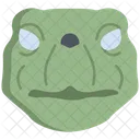 Tartaruga Ícone