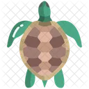 Tartaruga Ícone