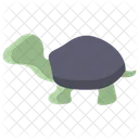 Tartaruga Animal Vida Selvagem Ícone
