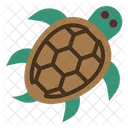 Tartaruga  Ícone