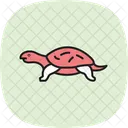 Tartaruga Almiscarada Tartaruga Almiscarada Reptil Ícone