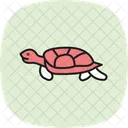 Tartaruga De Lama Tartaruga De Lama Reptil Ícone