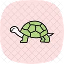 Tartaruga Grega Reptil Ícone