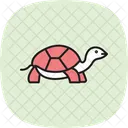Tartaruga Marginalizada Tartaruga Marginalizada Reptil Ícone