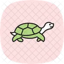 Tartaruga Mordedora Tartaruga Mordedora Reptil Ícone