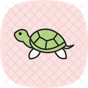 Tartaruga Pintada Tartaruga Pintada Reptil Ícone