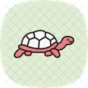 Tartaruga Russa Tartaruga Russa Reptil Ícone