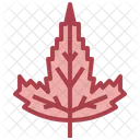 Tatarian Maple  Icon
