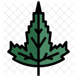 Tatarian Maple  Icon