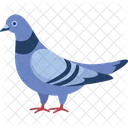 Taube Vogel Cartoon Symbol
