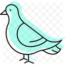Taube Vogel Stadt Symbol
