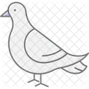 Taube Vogel Stadt Symbol