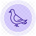 Taube Vogel Stadt Symbol