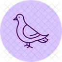 Taube Vogel Stadt Symbol