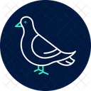 Taube Vogel Stadt Symbol