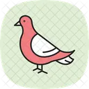 Taube Vogel Stadt Symbol