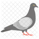 Taube Fliegender Vogel Symbol