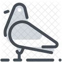 Taube Vogel Symbol