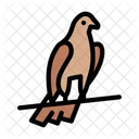 Taube Wikinger Vogel Symbol