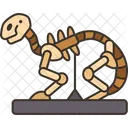 Taxidermy Animal Skeleton Icon