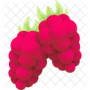 Tayberry Beere Pflanze Symbol