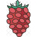 Tayberry Icon