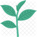 Tea Leaf Organic Icon