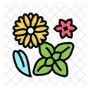 Tea Flower Plant Icon