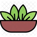 Leaf Plate Tea Icon