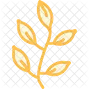 Tea Leaves Fresh Tea Leaves Icon