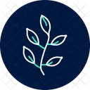 Tea Leaves Fresh Tea Leaves Icon