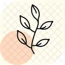 Tea Leaves Fresh Tea Leaves Icon