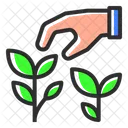 Tea Plant Tea Plant Icon