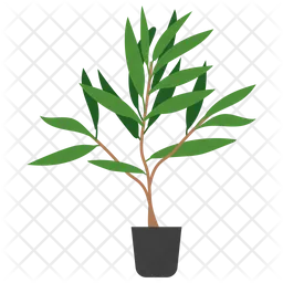 Tea Tree Plant  Icon
