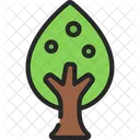 Tear  Icon