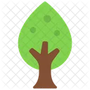 Tear  Icon