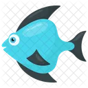 Teardrop Reef Blue Icon