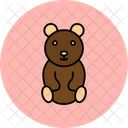 Teddy Icon