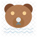 Teddy Bear Face Icon