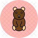Teddy  Icon